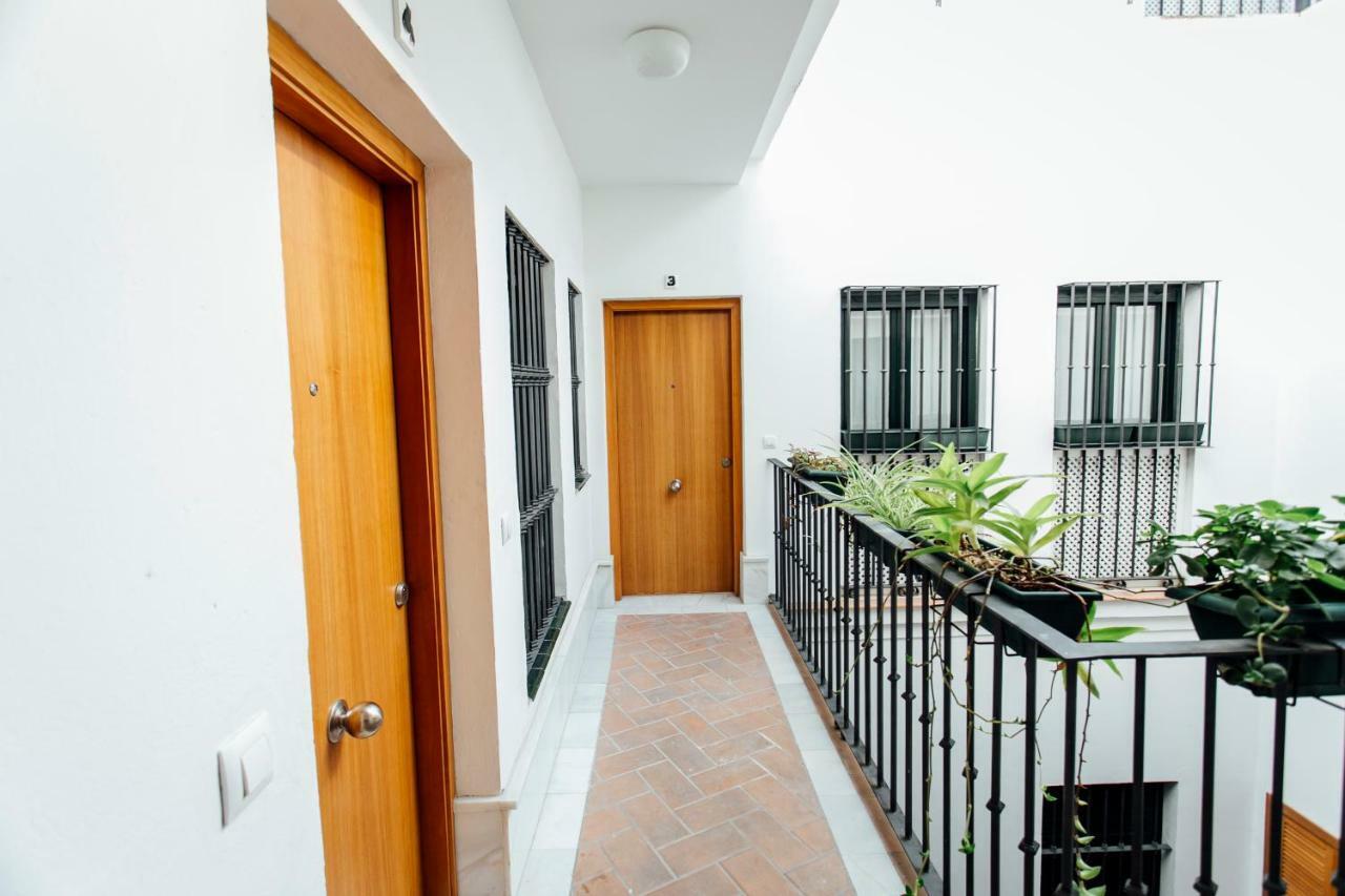 Bright Duplex W/ Terrace Apartment Севиля Екстериор снимка